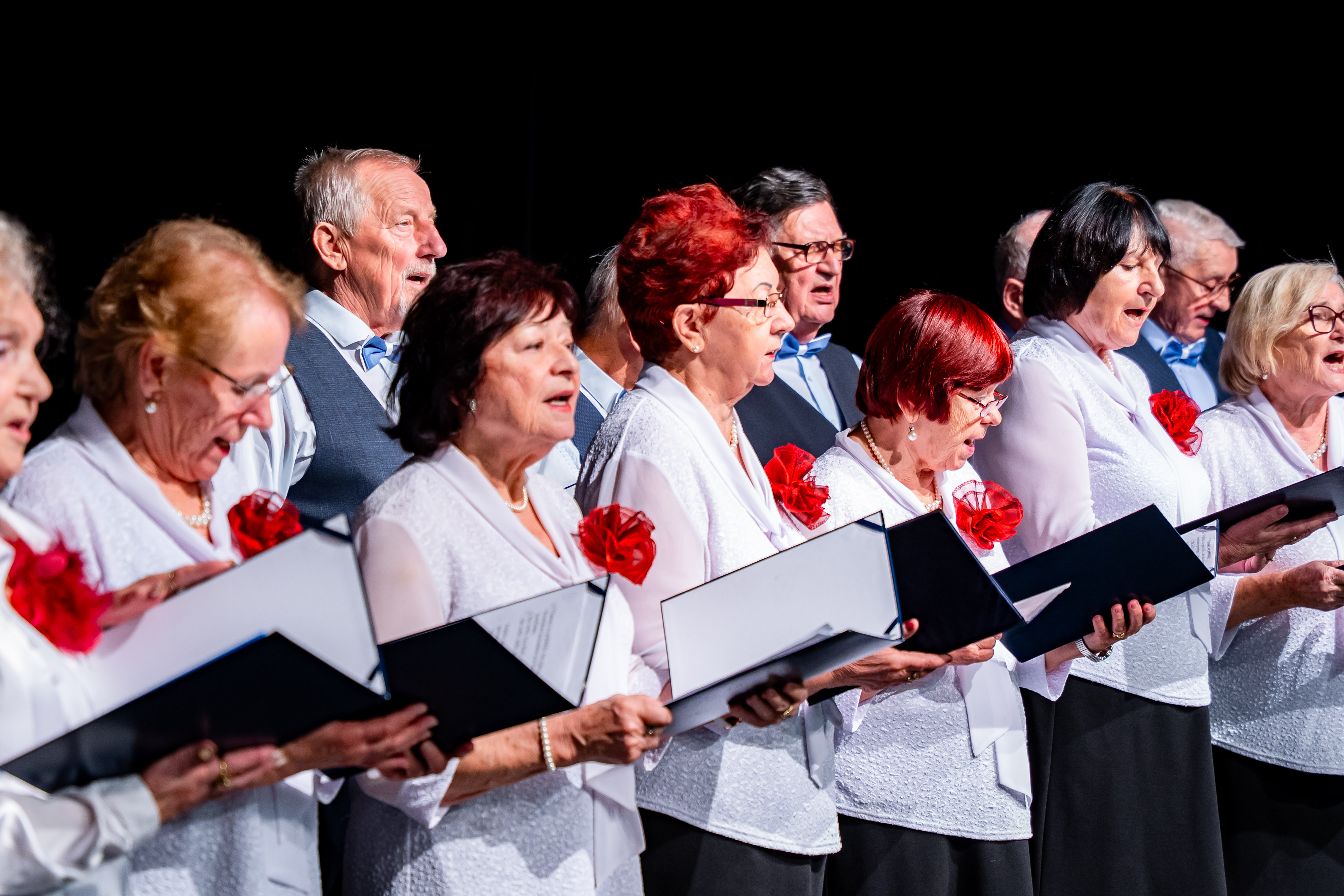 Vianocna seniorska hviezda -51